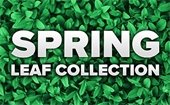 Spring Leaf Collection logo