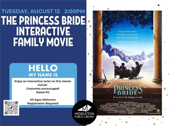 Stop Motion Animation for Adults