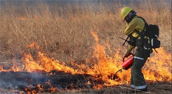 Prescribed Burn Technician