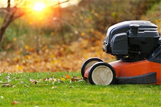 mower with leaves