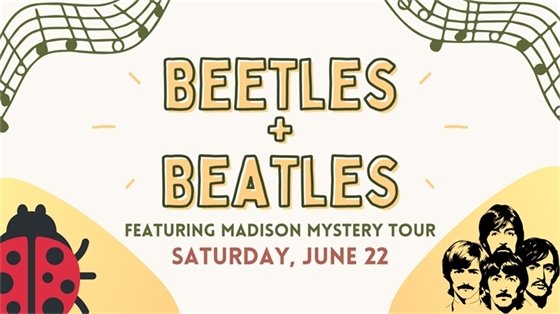 beetles + beatles