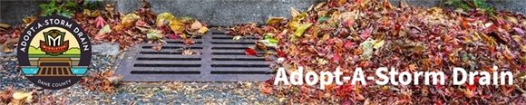 Adopt A Storm Drain Banner