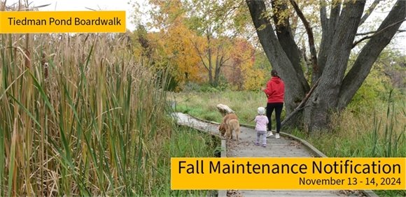 Boardwalk maintenance