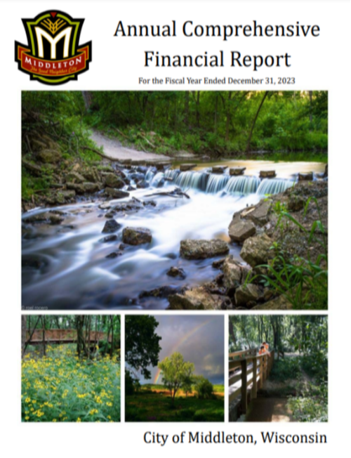 Annual Comprehensive Report 2024 (click to read)