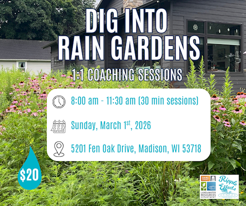 Rain garden coaching sessions