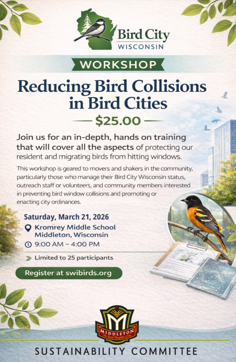 Bird Collision Workshop Flyer