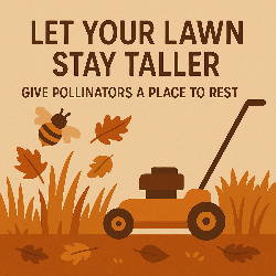 Eco-friendly fall cleanup tips